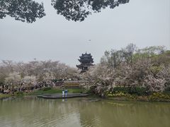 -王興記(中山路店)