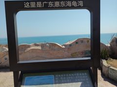 -广东惠东海龟国家级自然保护区