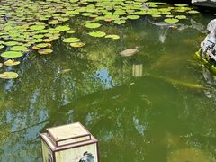 -常熟方塔园