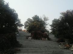 -大兴滨河森林公园