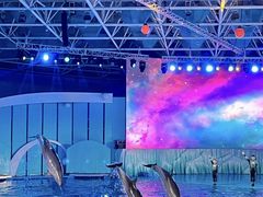 -海合安青岛极地海洋公园