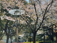 -衡山路(地铁站)