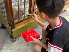 -青岛鑫江温德姆酒店
