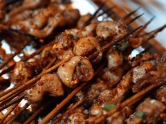 -晓靖轩烧烤(沙河风情店)