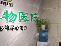 -半岛宠物医院24小时(白果林店)