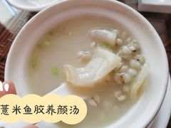 -新锦鸿(演达店)