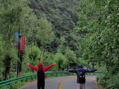 -王顺山国家森林公园