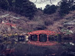 -醍醐寺