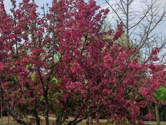 -北京西山国家森林公园