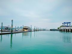 -五缘湾游艇帆船俱乐部