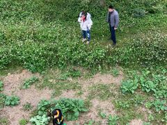 -艾米稻香小镇