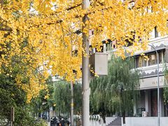 -成都市活水公园