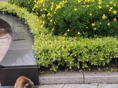 -苏州河梦清园环保主题公园