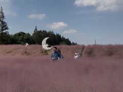 -嘉北郊野公园