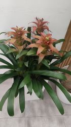 -和颜一美轻医美连锁