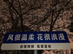 -高东镇樱花园