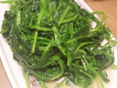 清炒豌豆尖-蜀韵川香水煮鱼(泰山路店)