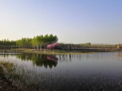 -东郊湿地公园
