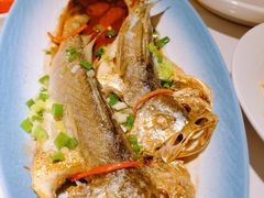 -33号大院·青岛本帮菜(五四广场店)
