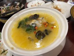 -邵年鸽(杨庄店)