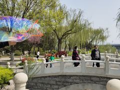 -济南国际园博园