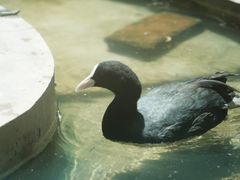 -青藏高原野生动物园