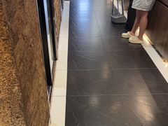 -三强鸽子(中原路店)