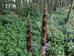 -苏州河梦清园环保主题公园