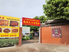 -荔枝红五号农庄