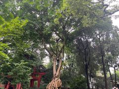 -成都武侯祠博物馆