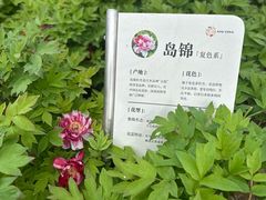 -太阳宫公园