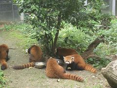 -柳州市动物园