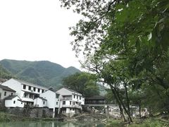 -鹿亭中村