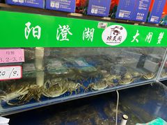 -阳澄湖大闸蟹·琼灵阁牌品牌连锁(吴中总店)