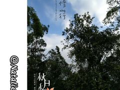 -火炉山森林公园