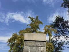 -北京植物园南门售票处