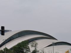 -合肥大剧院