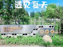 -前小桔亲子创意农场·草莓采摘·露营烧烤