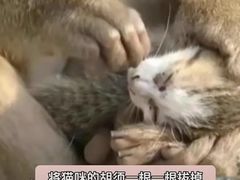 -昆明动物园