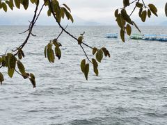 -抚仙湖禄充风景区