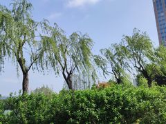 -黄兴公园