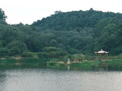 -南国桃园旅游度假区