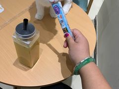 -藏猫猫咖啡主题馆(中央大道店)