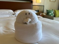 -三亚亚龙湾万豪度假酒店