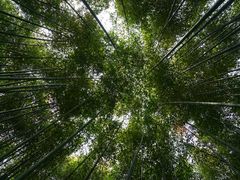 -竹泉村旅游度假区