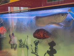 -伊帆食府·青海地方特色美食