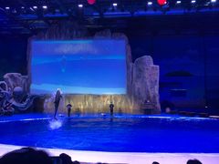 -华夏文旅海洋公园