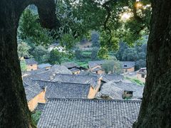 -杨家堂村