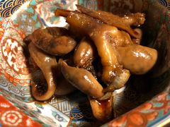 -料亭菊水楼