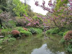 -杭州半山国家森林公园